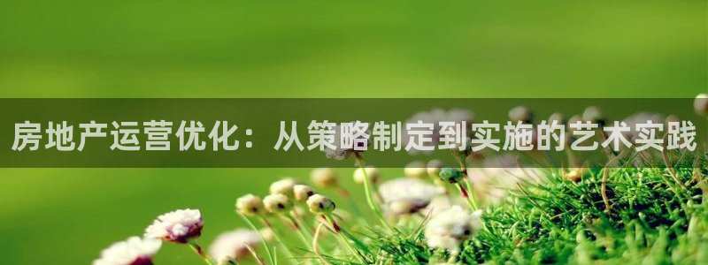新宝5官方：房地产运营优化：从策略制定到实施的艺术实践