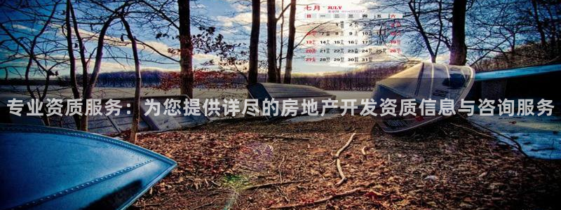 新宝5台卡：专业资质服务：为您提供详尽的房地产开发资质信息与
