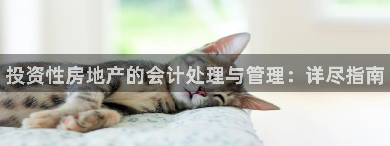 新宝5挂机：投资性房地产的会计处理与管理：详尽指南