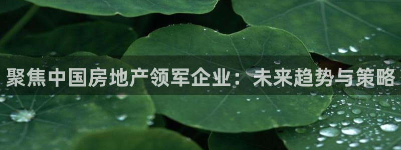 新宝5现在还能玩吗：聚焦中国房地产领军企业：未来趋势与策略