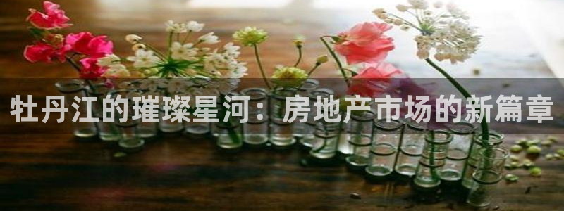 老新宝5授权登录：牡丹江的璀璨星河：房地产市场的新篇章