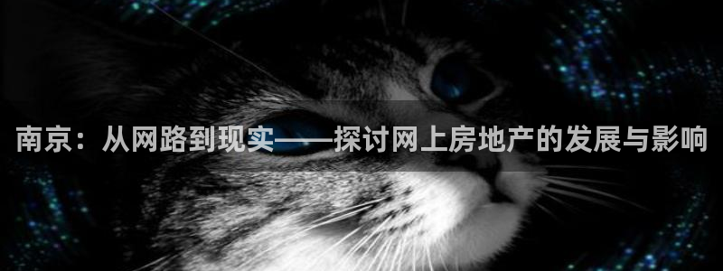新宝5官方网站：南京：从网路到现实——探讨网上房地产的发展与