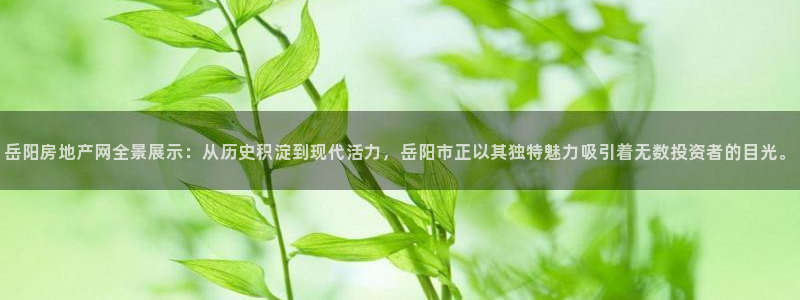 新宝5天：岳阳房地产网全景展示：从历史积淀到现代活力，岳阳市