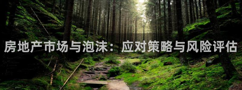 新宝5现在还能玩吗：房地产市场与泡沫：应对策略与风险评估