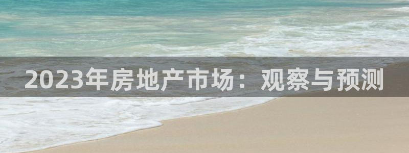 新宝5平台登录下载软件：2023年房地产市场：观察与预测