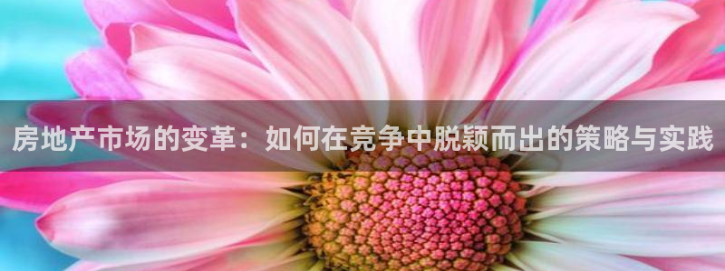 新宝5注册登录：房地产市场的变革：如何在竞争中脱颖而出的策略