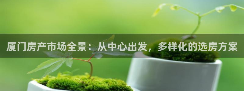 新宝5官网霸：厦门房产市场全景：从中心出发，多样化的选房方案