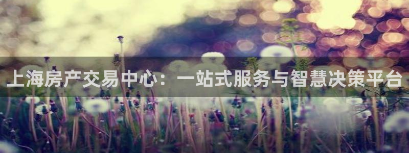 新宝5登录：上海房产交易中心：一站式服务与智慧决策平台