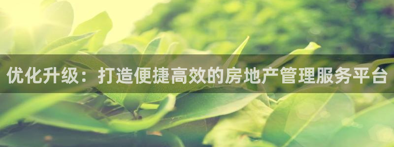 新宝b2O5O5O：优化升级：打造便捷高效的房地产管理服务平