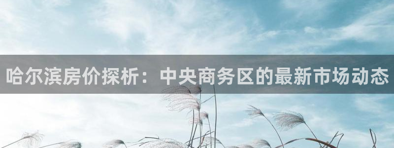 新宝5策略：哈尔滨房价探析：中央商务区的最新市场动态