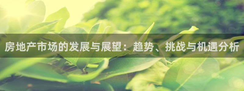 新宝5是谁：房地产市场的发展与展望：趋势、挑战与机遇分析