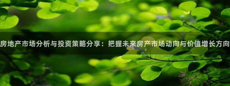 新宝j2O5O5O：房地产市场分析与投资策略分享：把握未来房