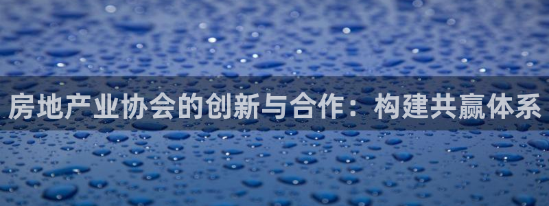 新宝5登录地址：房地产业协会的创新与合作：构建共赢体系