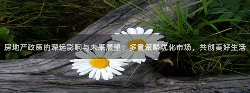 新宝5褚32OO59：房地产政策的深远影响与未来展望：多重策