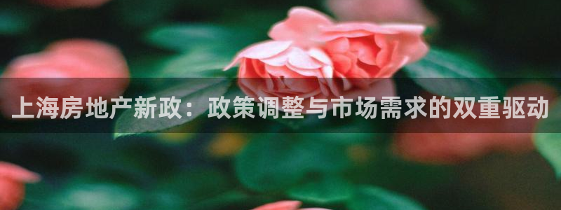 新宝5登录不了：上海房地产新政：政策调整与市场需求的双重驱动