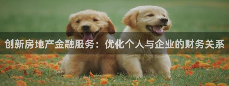 新宝5蒋7O667：创新房地产金融服务：优化个人与企业的财务