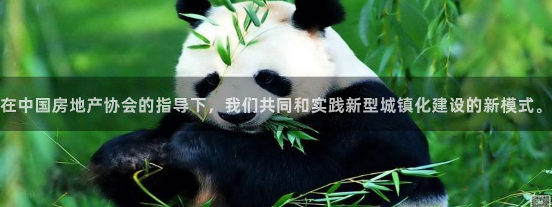 新宝5手机版：在中国房地产协会的指导下，我们共同和实践新型城