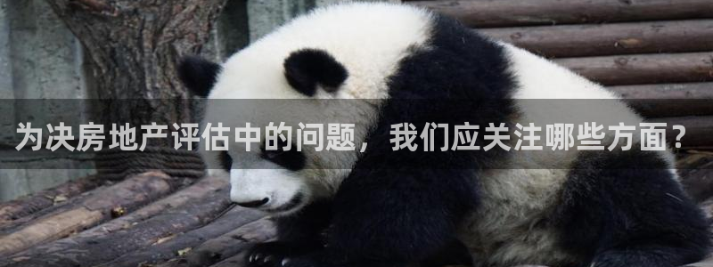 新宝集团新宝5：为决房地产评估中的问题，我们应关注哪些方面？