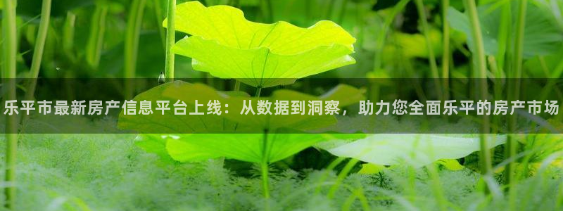 新宝5娱乐代理：乐平市最新房产信息平台上线：从数据到洞察，助