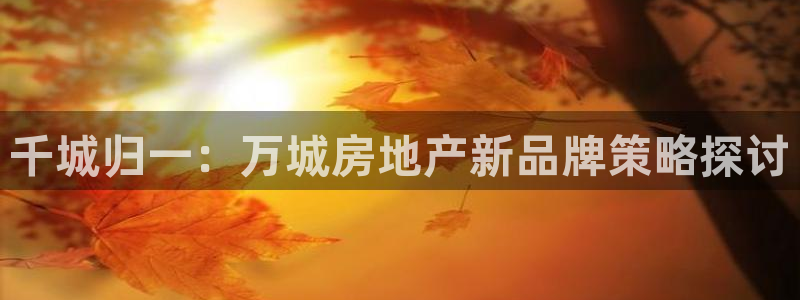 新宝5策略：千城归一：万城房地产新品牌策略探讨