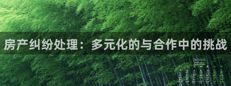 新宝股东瞧听2 5 5：房产纠纷处理：多元化的与合作中的挑战