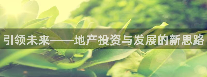 新宝5天：引领未来——地产投资与发展的新思路
