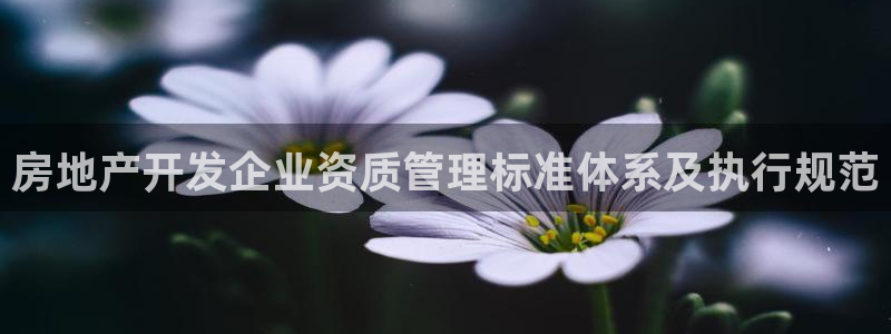 新宝5娱乐然：房地产开发企业资质管理标准体系及执行规范