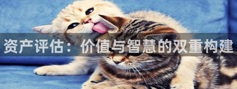 新宝5娱乐没：资产评估：价值与智慧的双重构建
