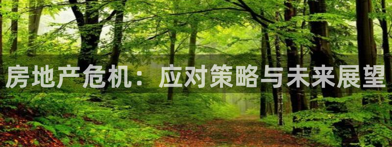 新宝5主管：房地产危机：应对策略与未来展望