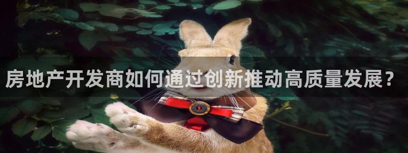 新宝5总代：房地产开发商如何通过创新推动高质量发展？