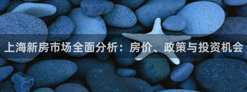 新宝5平棋牌：上海新房市场全面分析：房价、政策与投资机会