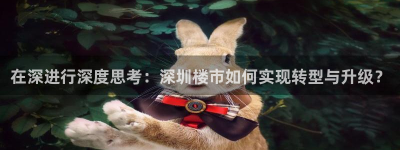 新宝5现在还能玩吗：在深进行深度思考：深圳楼市如何实现转型与
