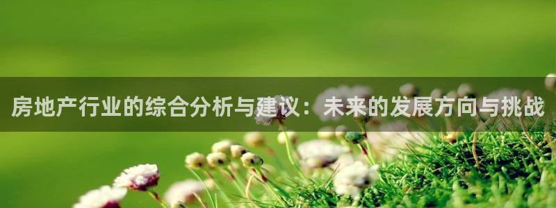 新宝5下载app：房地产行业的综合分析与建议：未来的发展方向