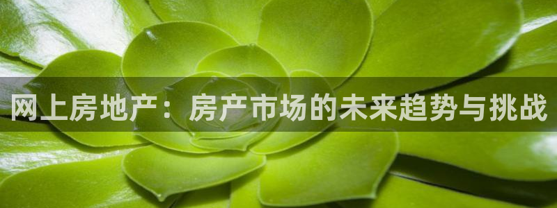 新宝5开户：网上房地产：房产市场的未来趋势与挑战