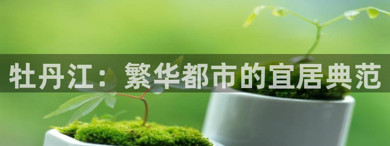 新宝5找找74OOO5：牡丹江：繁华都市的宜居典范