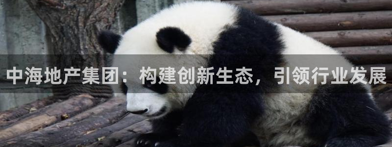 新宝5娱乐然：中海地产集团：构建创新生态，引领行业发展