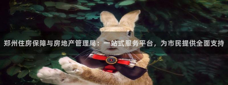 新宝速5：郑州住房保障与房地产管理局：一站式服务平台，为市民