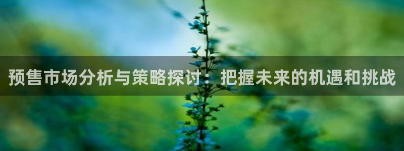 新宝5注册：预售市场分析与策略探讨：把握未来的机遇和挑战