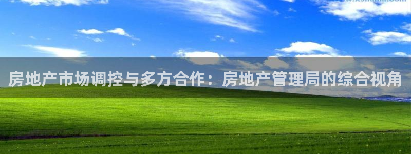 新宝5下载测试：房地产市场调控与多方合作：房地产管理局的综合