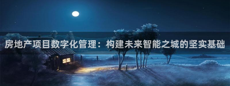 新宝5手机app：房地产项目数字化管理：构建未来智能之城的坚