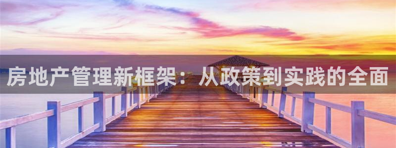 有人知道新宝5么：房地产管理新框架：从政策到实践的全面
