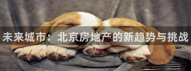 新宝5下载网址：未来城市：北京房地产的新趋势与挑战