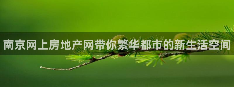 新宝5日740005蔻：南京网上房地产网带你繁华都市的新生活