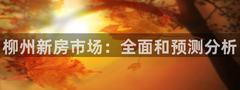 新宝5台卡：柳州新房市场：全面和预测分析