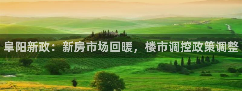 新宝6霸哥5：阜阳新政：新房市场回暖，楼市调控政策调整