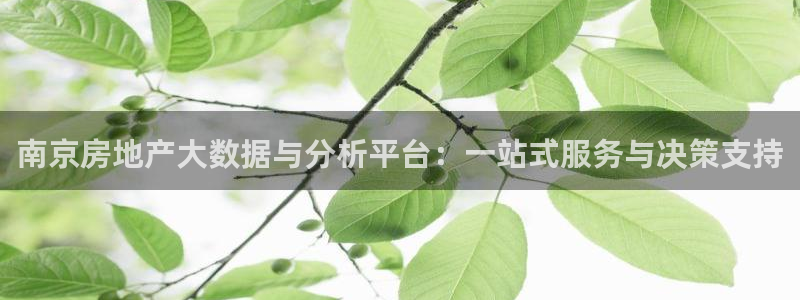 新宝股东王听2 5 5：南京房地产大数据与分析平台：一站式服