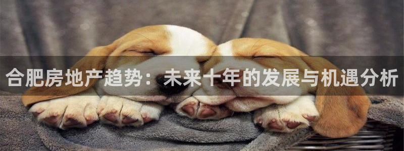 新宝5注册测速登录：合肥房地产趋势：未来十年的发展与机遇分析