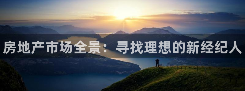 新宝5褚74OOO5：房地产市场全景：寻找理想的新经纪人