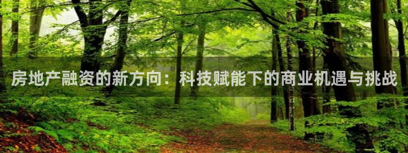 新宝5平台登录：房地产融资的新方向：科技赋能下的商业机遇与挑