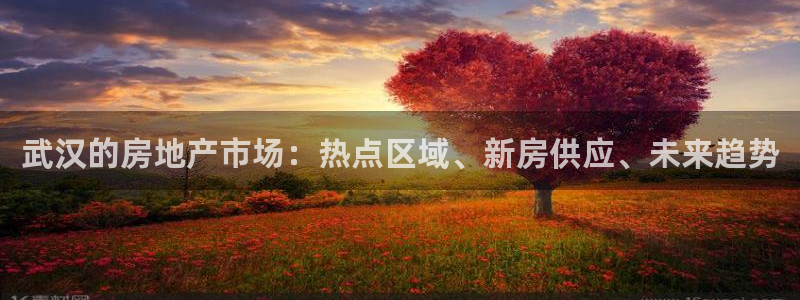 有人知道新宝5么：武汉的房地产市场：热点区域、新房供应、未来